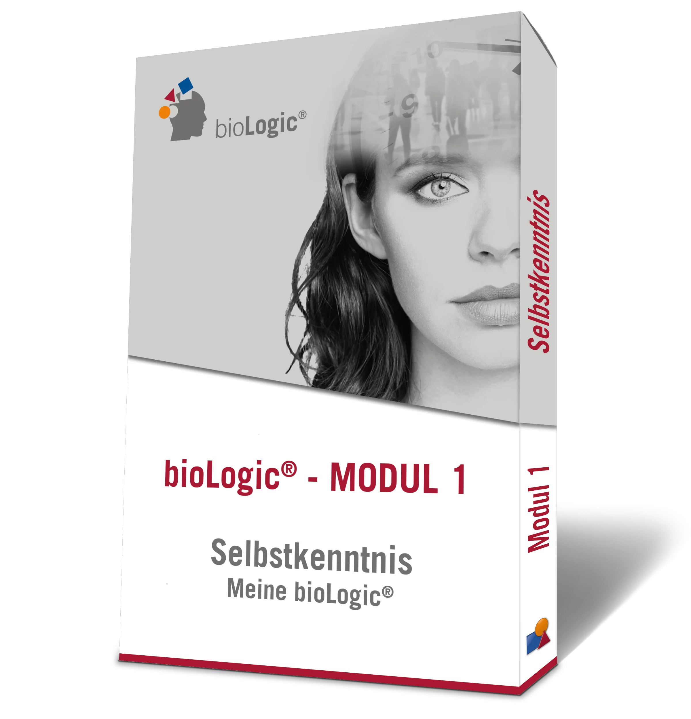 Onlinekurs und Onlineschulung - Persönlichkeitsmodell, Persönlichkeitstraining bioLogic mit Alexander Richter