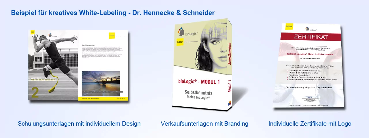 Eigenes Persönlickeitsmodell für die Unternehmensberatung