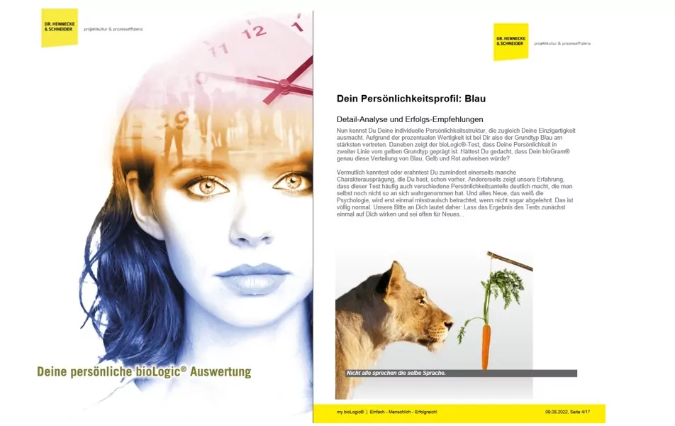 bioLogic Persönlichkeitsmodell für die Unternehmensberatung