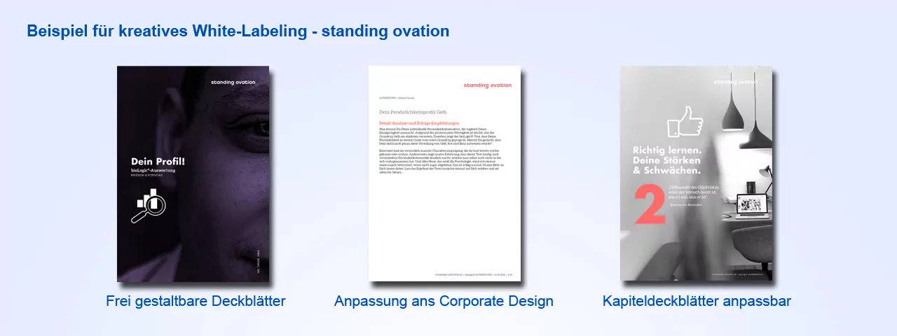 eigenes bioLogic Persönlichkeitsmodell mit Persönlicheitstest